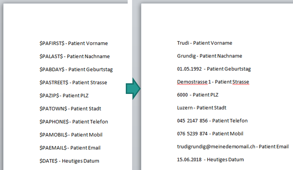 Beispiel f&uuml;r eine Dokumentvorlage