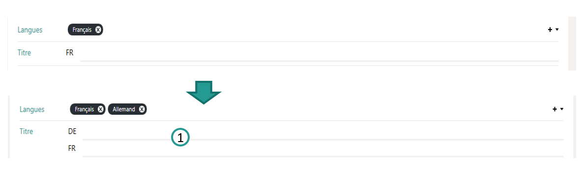 D&eacute;finir les langues