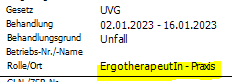 Neue Rolle für Ergotherapie